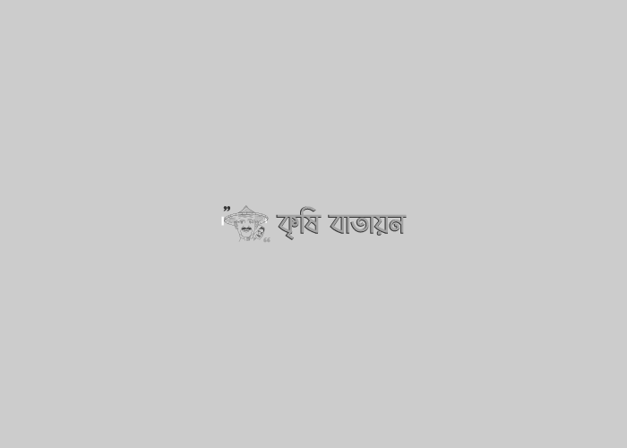 ভবিষ্যতের কৃষির অধুনিকায়নে কৃষি সম্প্রসারণ বাতায়নের ভূমিকা অনন্য